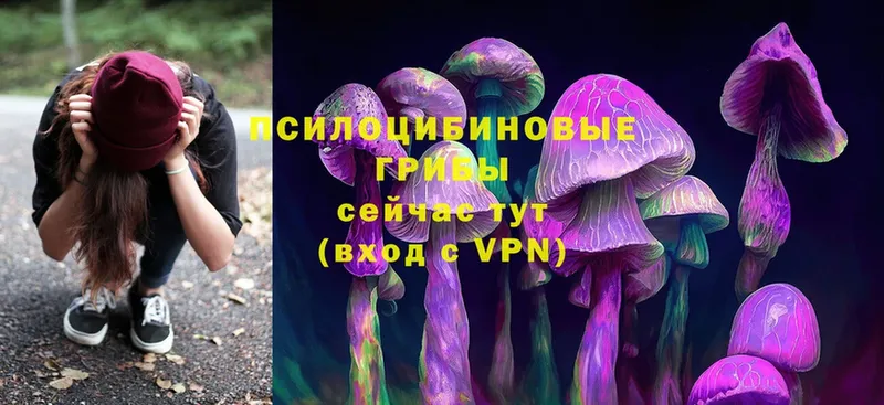 Галлюциногенные грибы Magic Shrooms  где купить наркоту  Жуков 